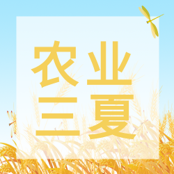 亮色系农业三夏田野蜻蜓微信公众号次图
