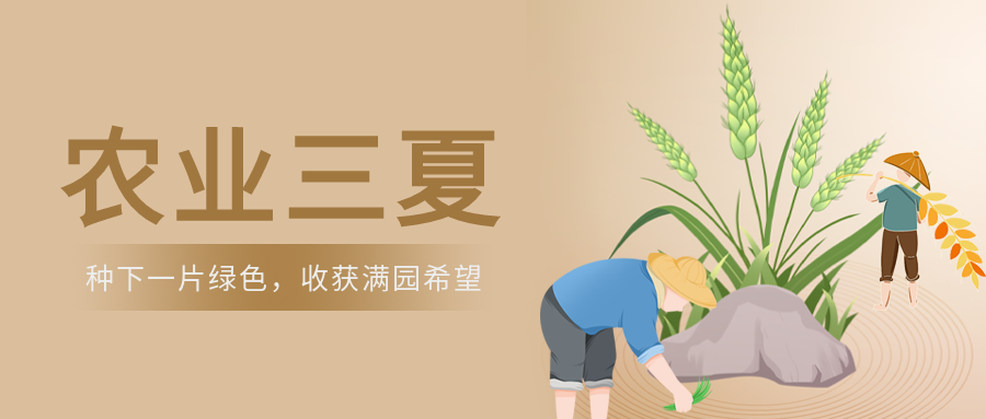 手绘农业三夏夏粮颗粒归仓微信公众号首图