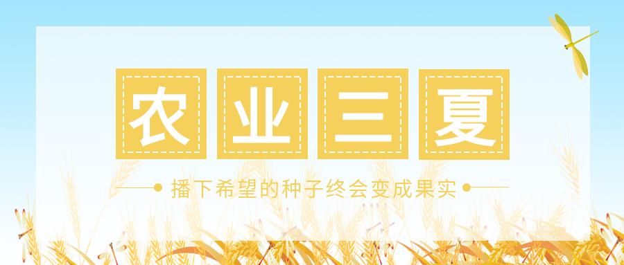 夏粮颗粒归仓农业三夏创意微信公众号首图