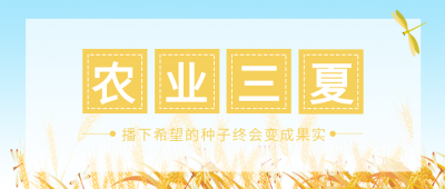 夏粮颗粒归仓农业三夏创意微信公众号首图