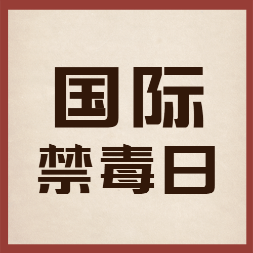 国际禁毒日简约宣传微信公众号次图