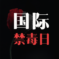 简约罂栗花国际反毒品日微信公众号次图