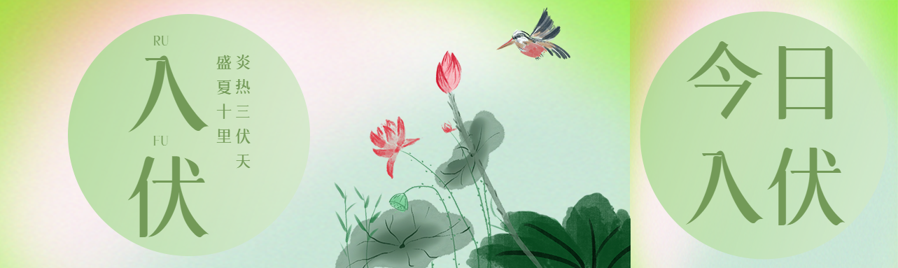 水彩画荷花炎热三伏天到来公众号封面图