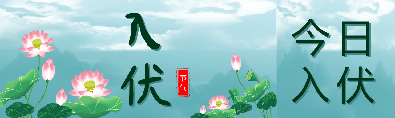 唯美荷花荷叶入伏公众号封面图
