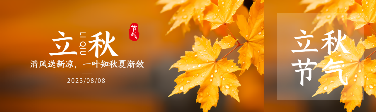 黄色简约二十四节气立秋公众号封面图