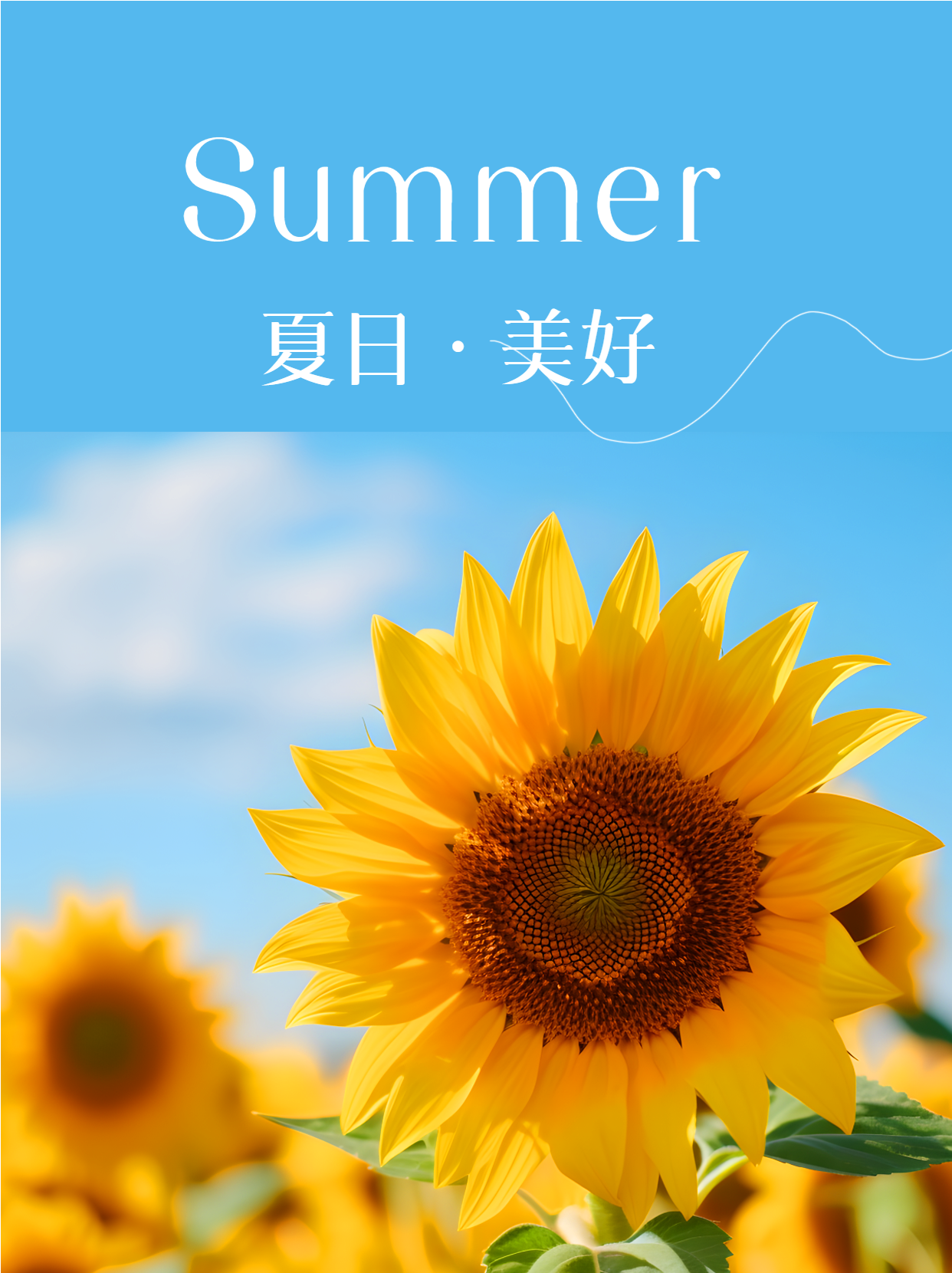 蓝天白云黄色向日葵夏日美好小红书封面配图