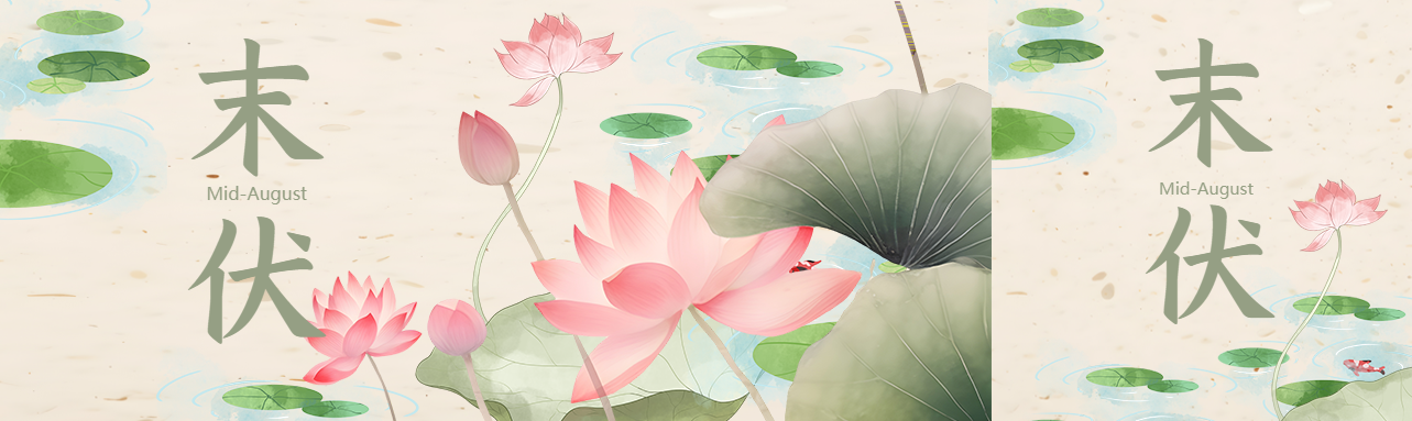 唯美荷叶工笔画末伏节气公众号封面图