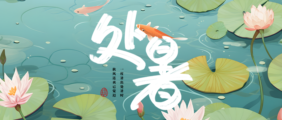 荷塘绽放的荷花处暑时节微信公众号首图