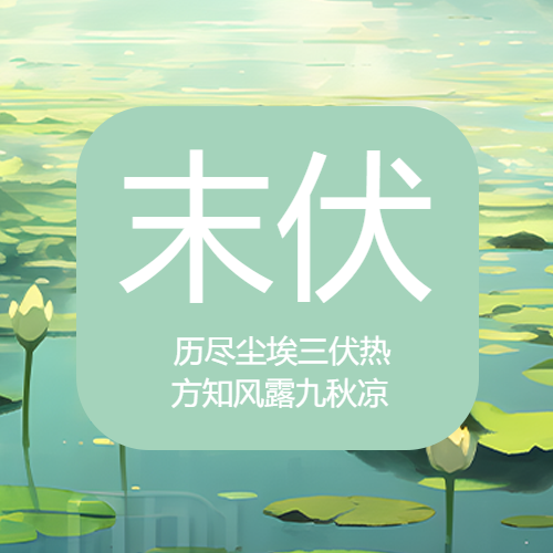 简约荷叶末伏时节早晚清凉微信公众号次图