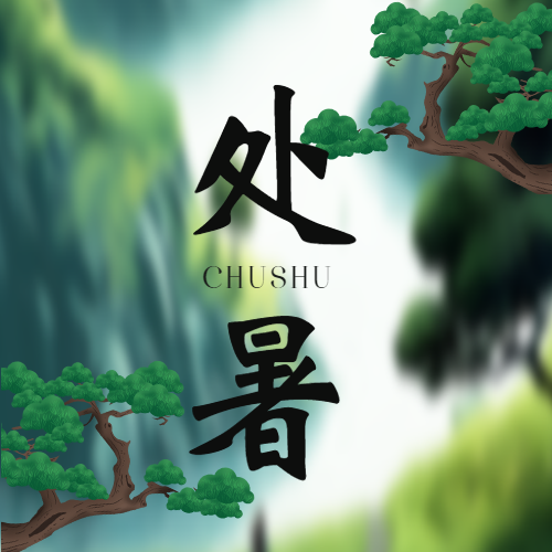 松树实景创意处暑24节气微信公众号次图