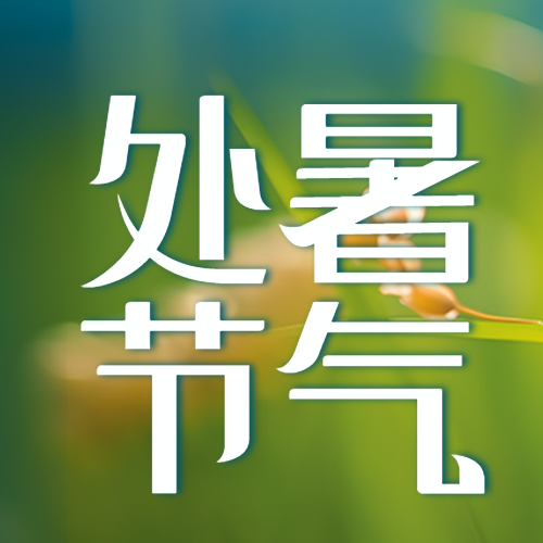 处暑节气午间热晚间凉简约微信公众号次图