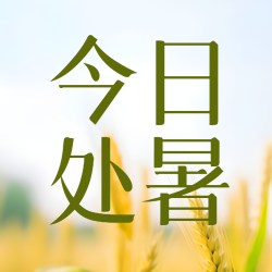今日处暑小麦丰收美景微信公众号次图
