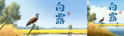 白露时节站在芦苇上的鸿雁公众号封面图