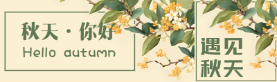 秋天你好唯美黄色桂花公众号封面图