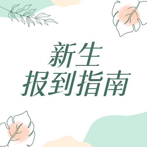 绿色简约线条叶片新生报到指南微信公众号次图