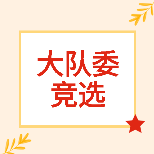少先队大队委员会成员竞选微信公众号次图