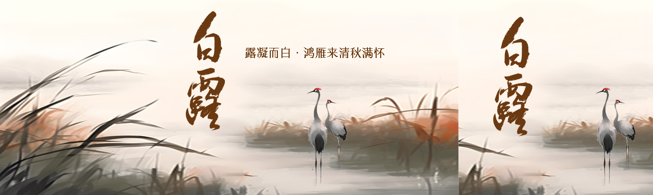 秋季湿地水墨画白露节气宣传公众号封面图