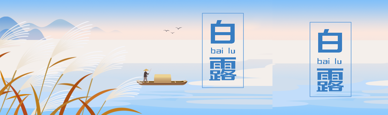 国风白露节气黄色芦苇创意公众号封面图