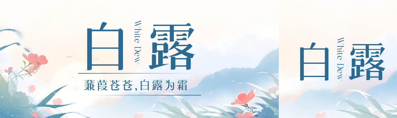 蒹葭苍苍白露为霜二十四节气公众号封面图