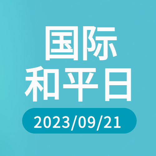 极简风国际和平日公众宣传微信公众号次图