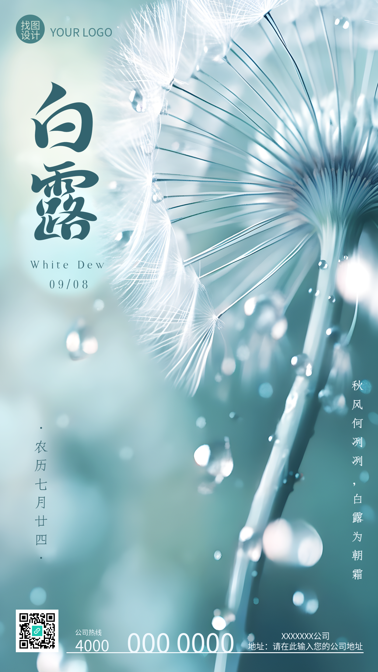 唯美蒲公英白露时节寒生露凝手机海报