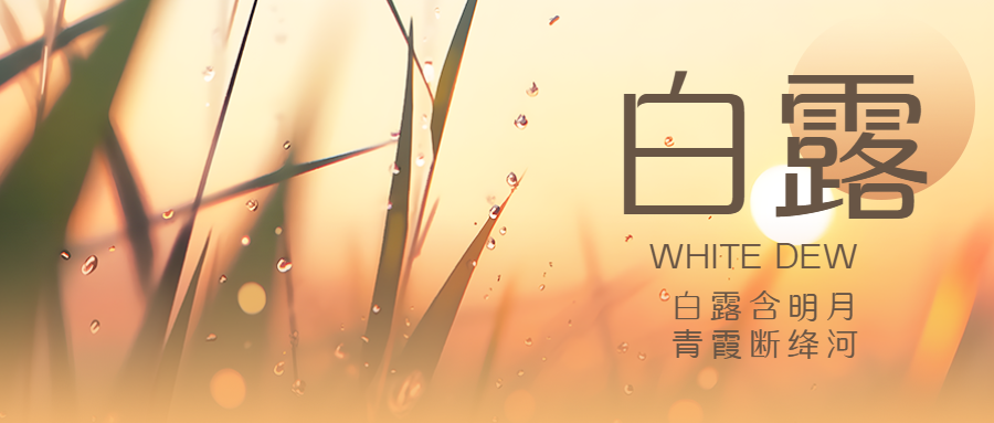 二十四节气白露夕阳小草剪影微信公众号首图