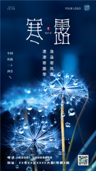 清晨蒲公英二十四节气寒露手机海报