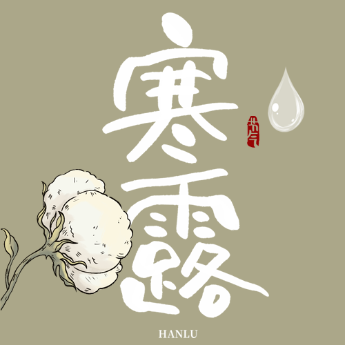极简风棉花24节气寒露微信公众号次图