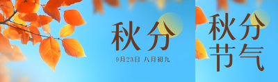 清澈蓝天红色树叶秋分节气公众号封面图