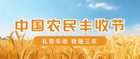中国农民丰收节蓝天白云小麦实景微信公众号首图