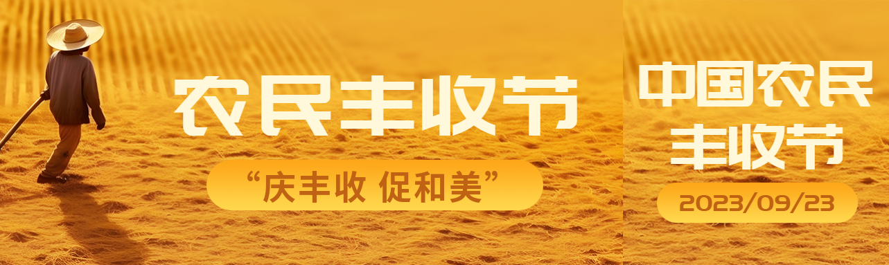 晾晒的麦子实景农民丰收节宣传公众号封面图