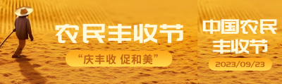 晾晒的麦子实景农民丰收节宣传公众号封面图