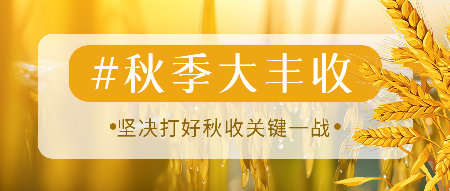 农民秋季大丰收田间美景微信公众号首图