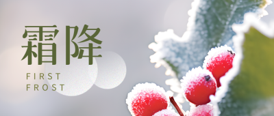 绿叶红果实景霜降节气弥散风微信公众号首图