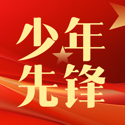 少年先锋在实践中全面发展微信公众号次图