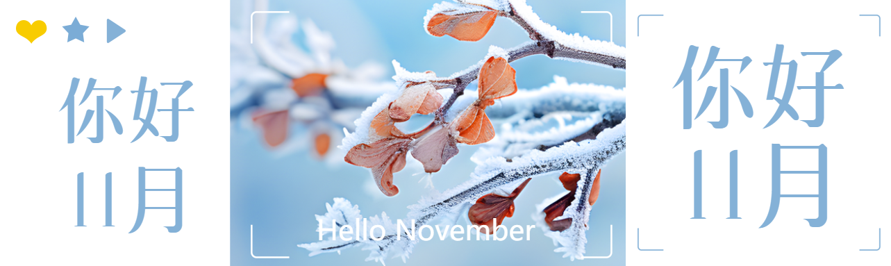 你好11月冬季树叶枝干实景公众号封面图