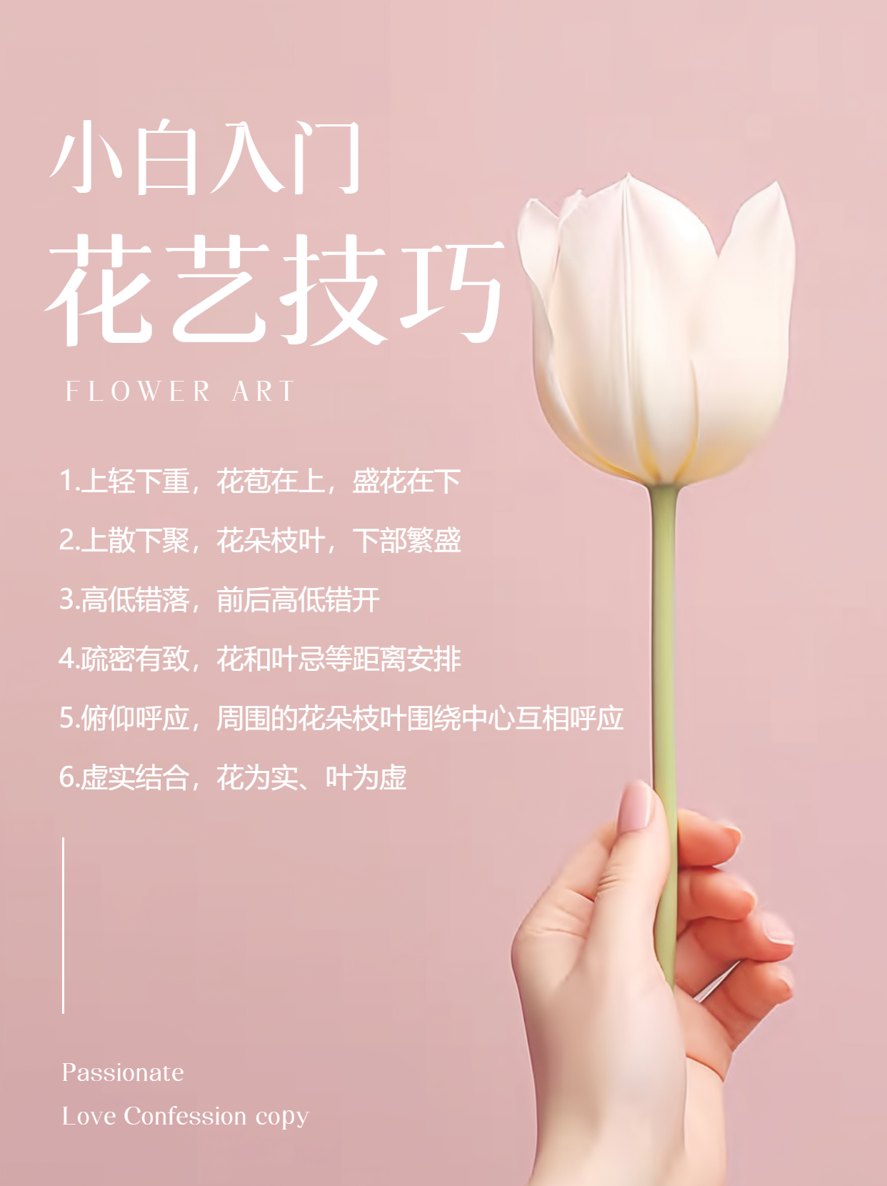 花艺技巧小白入门纯色高级感小红书封面配图