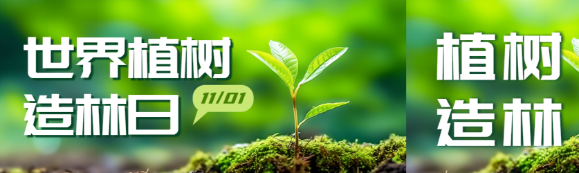 茁壮成长的小树苗世界植树造林日公众号封面图