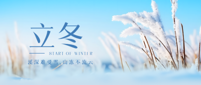 干枯的芦苇景色传统节气立冬微信公众号首图