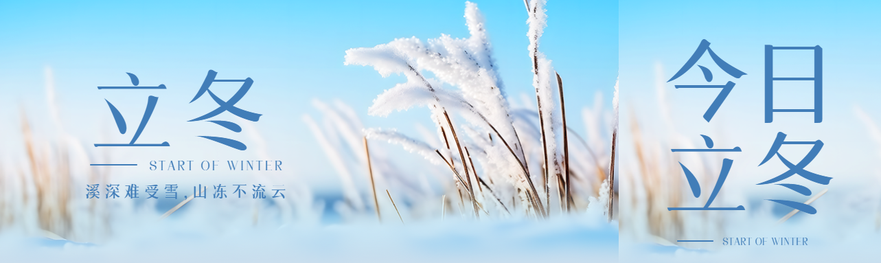二十四节气立冬雪中芦苇美景公众号封面图