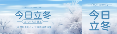 今日立冬下霜后的林中美景公众号封面图