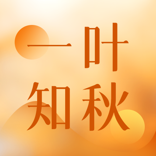 简约橙色光影一叶知秋微信公众号次图