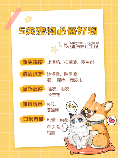 新手指南5类宠物日常必备好物小红书封面配图