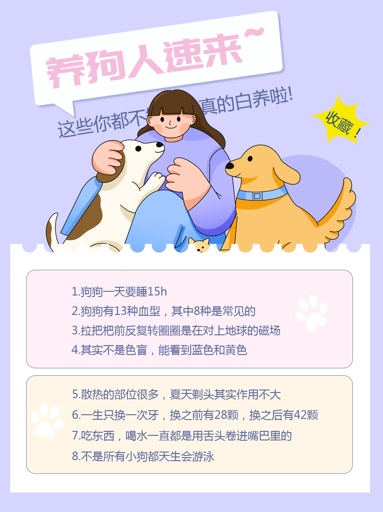 养狗人速来狗狗常识分享小红书封面配图