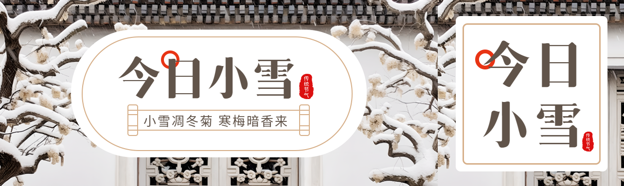 小雪凋冬菊寒梅暗香来实景宣传公众号封面图