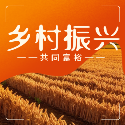 丰收的麦田实景乡村振兴创意微信公众号次图