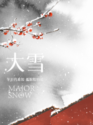 水墨风唯美红墙大雪时节小红书封面配图