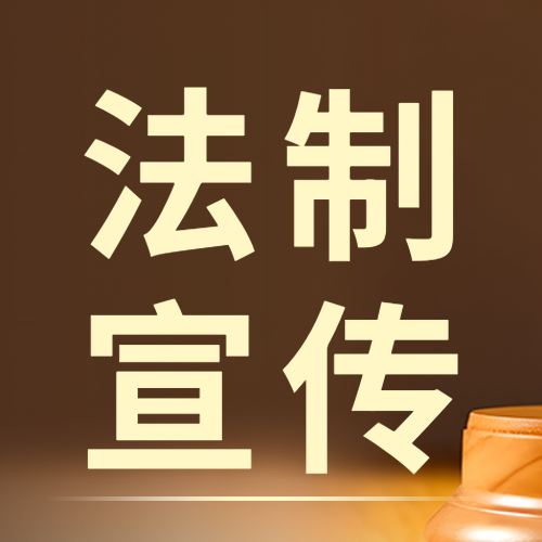 棕色简约法制宣传日法律知识科普微信公众号次图