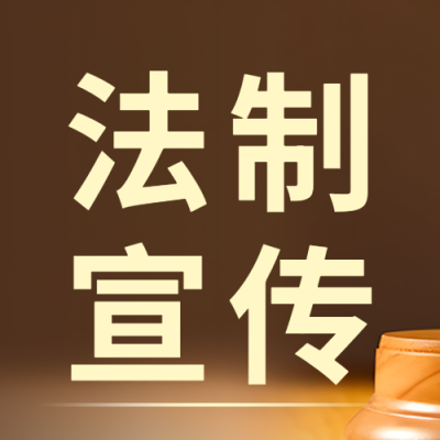 棕色简约法制宣传日法律知识科普微信公众号次图