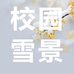 校园雪景打雪仗微信公众号次图